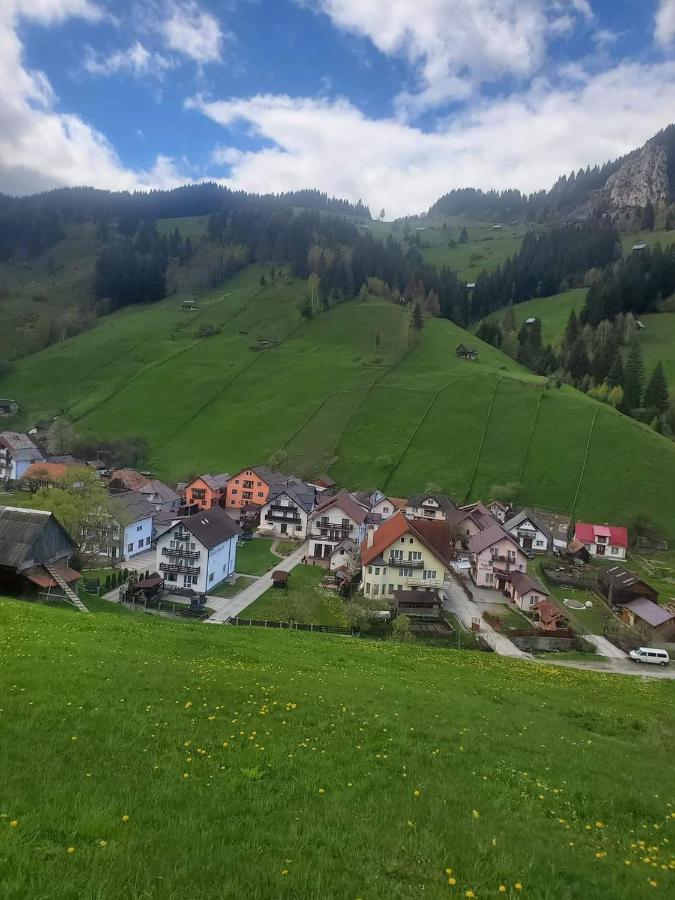 Pensiunea Sorina Casa Alba Moeciu De Sus Zewnętrze zdjęcie